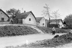 Magyarország, 1963, Gazda Anikó, Fortepan #307157