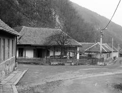 Magyarország, 1967, Gazda Anikó, Fortepan #307171