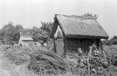 Hungary, 1965, Gazda Anikó, Fortepan #307178
