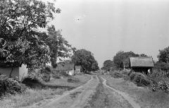 Hungary, 1965, Gazda Anikó, Fortepan #307179