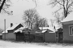 Hungary, 1968, Gazda Anikó, Fortepan #307181