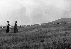 1927, Storymap.hu, nők, mező, szarvasmarha, tájkép, Fortepan #30719