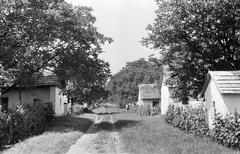 Hungary, 1968, Gazda Anikó, Fortepan #307190