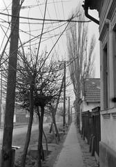 Hungary, 1968, Gazda Anikó, Fortepan #307195