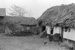 Hungary, 1968, Gazda Anikó, Fortepan #307197