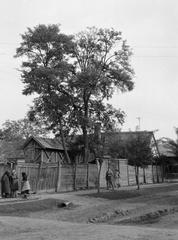 Hungary, 1968, Gazda Anikó, Fortepan #307204