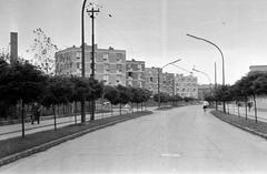 Hungary, 1965, Gazda Anikó, Fortepan #307221