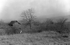 Magyarország, Szentendre, kilátás a Pismány hegyről a Duna felé., 1930, Storymap.hu, Fortepan #30724