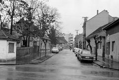 Magyarország, 1977, Gazda Anikó, Fortepan #307269