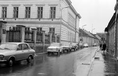 Magyarország, 1977, Gazda Anikó, Fortepan #307270