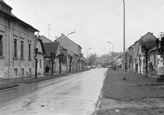 Hungary, 1972, Gazda Anikó, Fortepan #307283