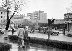 Magyarország, 1977, Gazda Anikó, Best of, Fortepan #307287