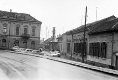 Magyarország, 1977, Gazda Anikó, Fortepan #307290