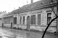 Magyarország, 1974, Gazda Anikó, Fortepan #307294