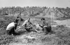 Magyarország, 1963, Gazda Anikó, Fortepan #307304