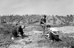 Magyarország, 1963, Gazda Anikó, Fortepan #307305