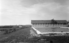 Magyarország, 1963, Gazda Anikó, Fortepan #307306