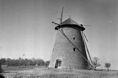 Magyarország, 1963, Gazda Anikó, Fortepan #307321