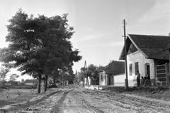 Hungary, 1965, Gazda Anikó, Best of, Fortepan #307330