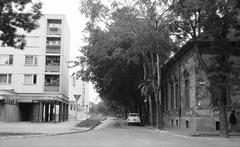 Magyarország, 1977, Gazda Anikó, Fortepan #307340