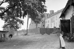 Magyarország, 1966, Gazda Anikó, Fortepan #307368