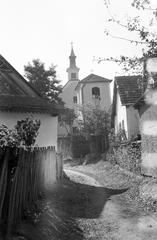 Magyarország, 1966, Gazda Anikó, Fortepan #307372