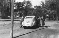 Magyarország, 1960, Gazda Anikó, Fortepan #307373