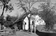 Magyarország, 1963, Gazda Anikó, Fortepan #307389