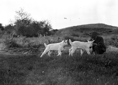 1935, Storymap.hu, kecske, Fortepan #30739