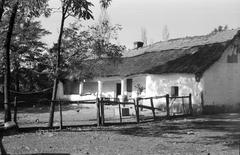 Magyarország, 1963, Gazda Anikó, Fortepan #307393