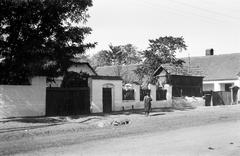 Magyarország, 1963, Gazda Anikó, Fortepan #307397