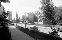 Magyarország, 1958, Gazda Anikó, Fortepan #307407