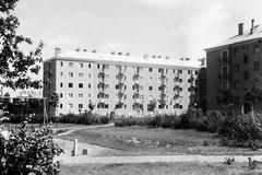 Magyarország, 1958, Gazda Anikó, Fortepan #307408