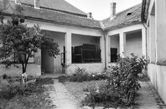 Magyarország, 1962, Gazda Anikó, Fortepan #307425