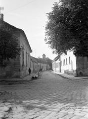 Magyarország, 1964, Gazda Anikó, Fortepan #307434