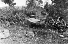 Hungary, 1961, Gazda Anikó, Fortepan #307440