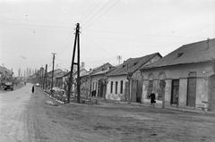 Magyarország, 1963, Gazda Anikó, Fortepan #307449