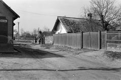 Magyarország, 1963, Gazda Anikó, Fortepan #307461