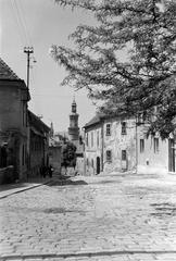 Magyarország, 1963, Gazda Anikó, Fortepan #307467