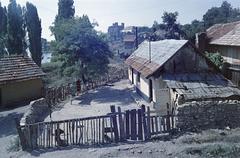 Hungary, 1965, Gazda Anikó, Fortepan #307485