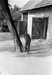 Hungary, 1965, Gazda Anikó, Fortepan #307487