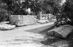 Magyarország, 1960, Gazda Anikó, Fortepan #307508