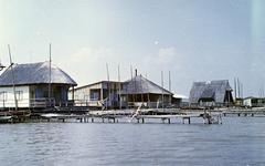 Hungary, 1969, Gazda Anikó, Fortepan #307518