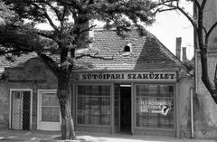 Magyarország, 1978, Gazda Anikó, Fortepan #307531