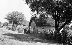 Magyarország, 1963, Gazda Anikó, Fortepan #307570