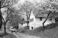 Magyarország, 1970, Gazda Anikó, Fortepan #307585