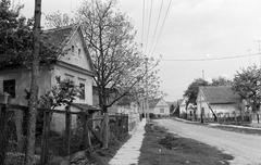 Magyarország, 1970, Gazda Anikó, Fortepan #307588