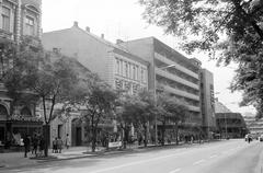 Hungary, 1980, Gazda Anikó, Fortepan #307602