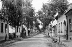 Magyarország, 1977, Gazda Anikó, Fortepan #307608