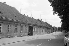 Magyarország, 1977, Gazda Anikó, Fortepan #307612